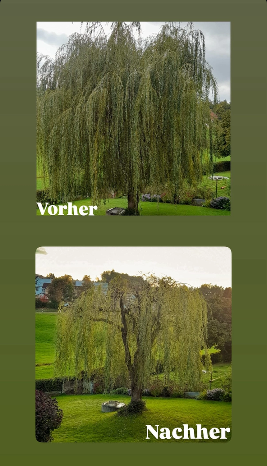 Hausmeisterservice Wintersberger – Vorher und nachher Gartenarbeit
