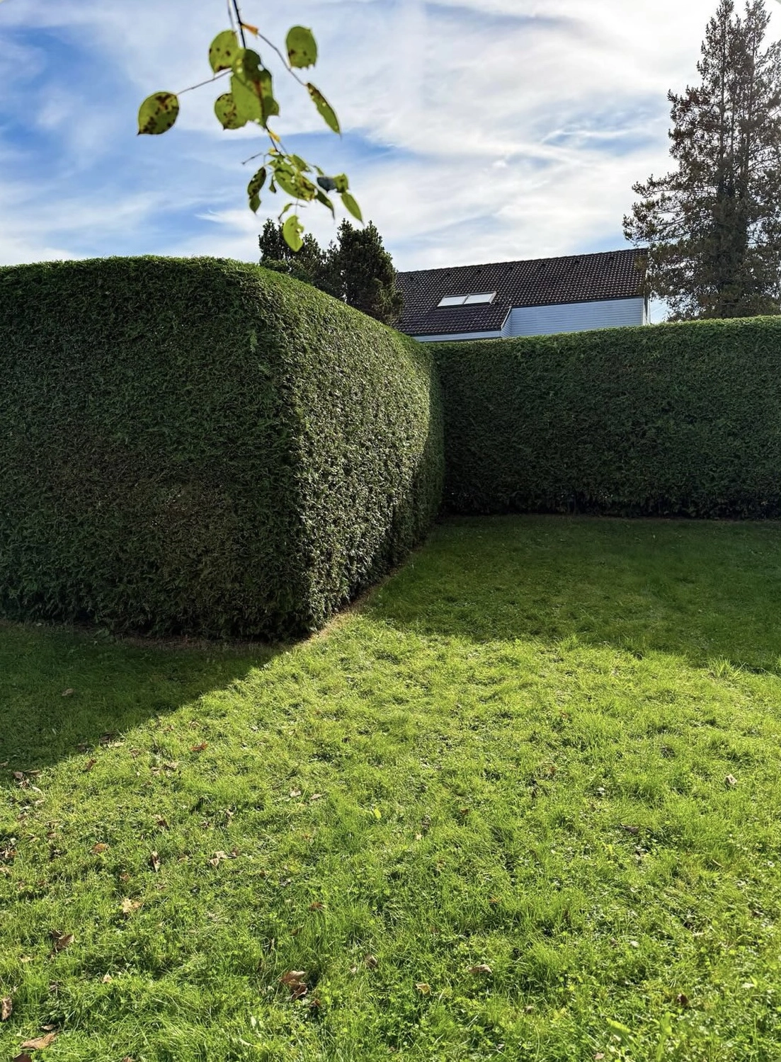 Hausmeisterservice Wintersberger – Gartenarbeit